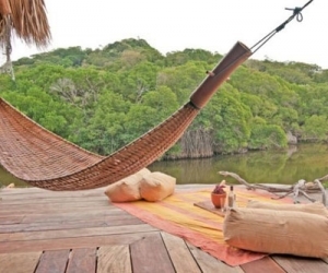 Country hammock!