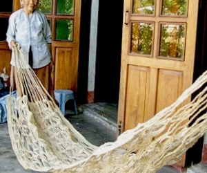 The cornfield hammock